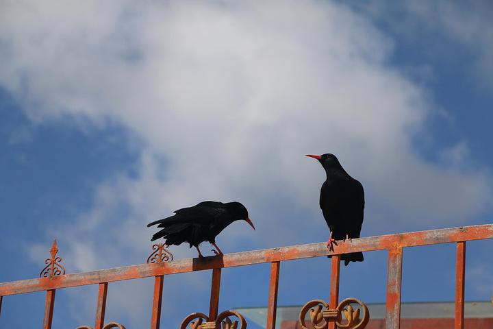 第五站松赞林寺