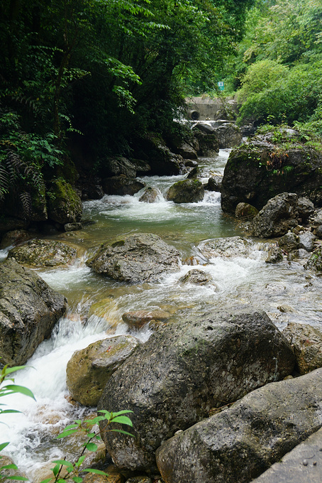 青城山龙隐峡栈道图片