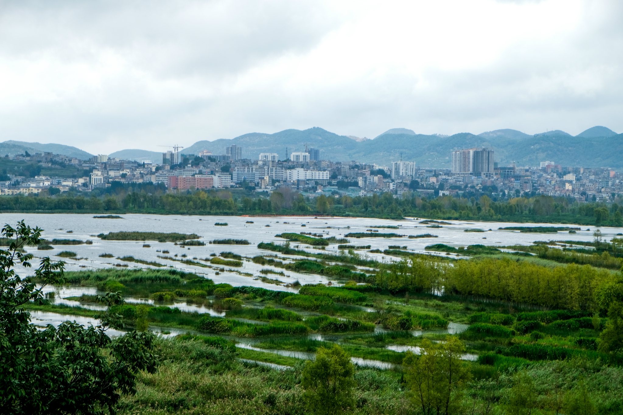 【携程攻略】云南草海景点,泸沽湖的草海位于四川省内，是从四川经泸沽湖景区的第一个景点，草海…