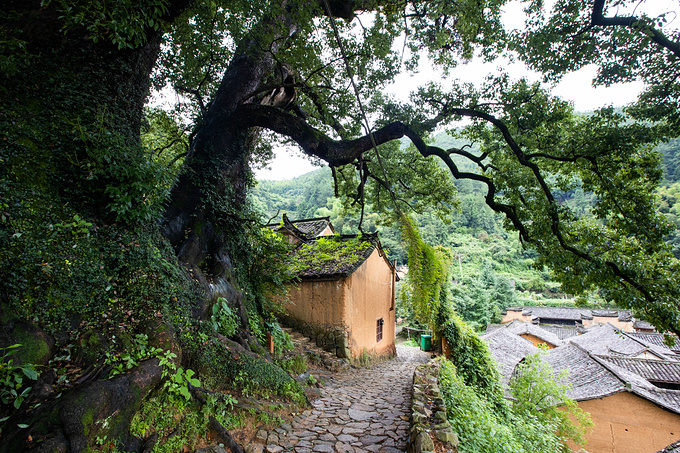 三天两晚畅游松阳,探寻“最后的江南秘境”-松阳旅游攻略-游记-去哪儿攻略