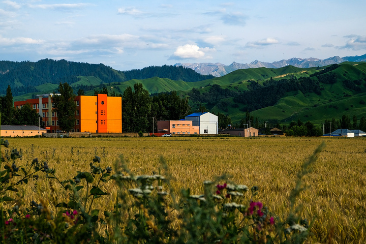 那拉提小镇位于新疆伊犁哈萨克自治州直属新源县的伊犁河谷东端,这里
