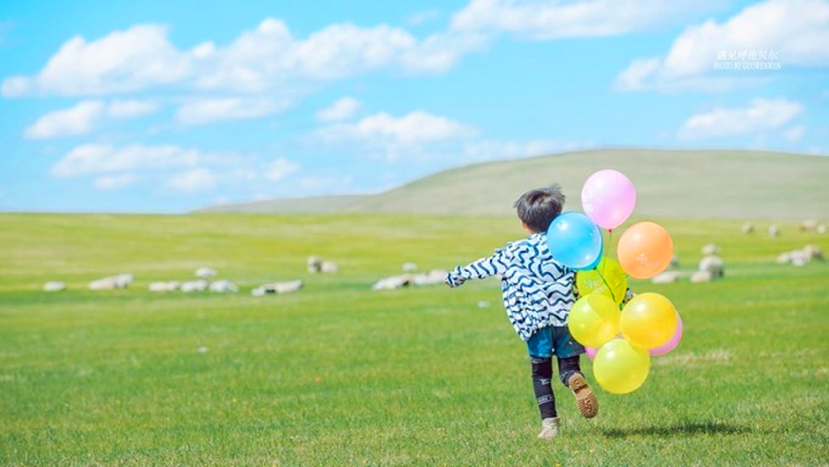广州研学旅行公司、酷爸团2019 | 暑假草原 | 和孩子一起撒欢在辽阔的呼伦贝尔大草原上-童游-亲子童游看世界·总有更好的亲子游