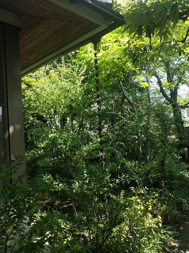 司马辽太郎纪念馆