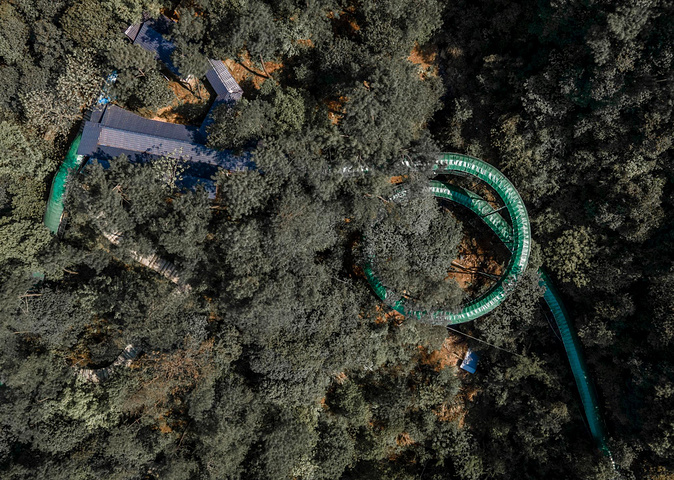 "特别是飞瀑之上的水潭，呈现出一种很特别的蓝色，有点九寨沟的感觉，加上这个季节两岸山花开得正艳，..._大奇山国家森林公园"的评论图片