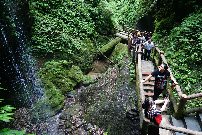 青城山龙隐峡栈道图片