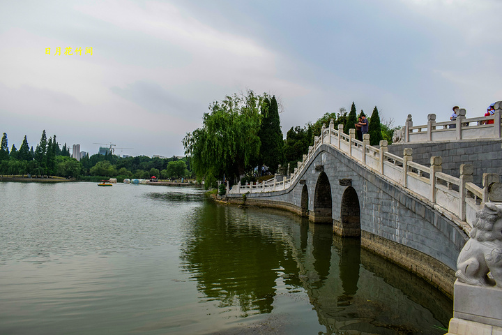 "...不好，但是计划好还是要去的，下午五点十分就来到了龙湖公园，在我认为傍晚时刻是逛公园最佳时间之一_龙湖公园"的评论图片