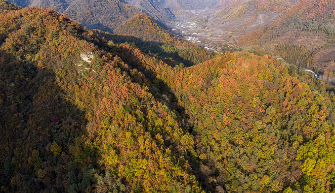 紫柏山国家森林公园图片