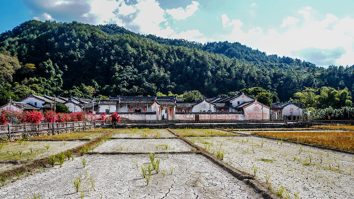 "在大屋后面还有一个码头，江水翠绿，树林成荫，景色非常优美_张弼士故居"的评论图片