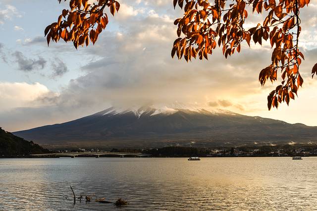 国营昭和纪念公园