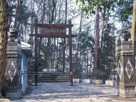 南华山国家森林公园旅游景点图片