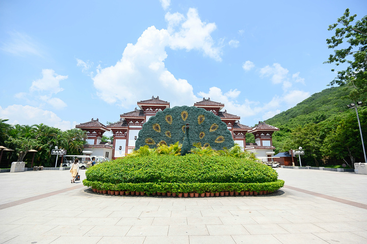 南山主要景點有南山寺海上觀音不二法門觀音文化苑天竺聖蹟佛名勝景觀