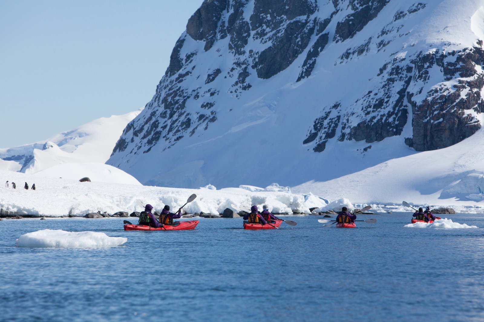 极地远征南极点，赴一场与帝企鹅的约会
