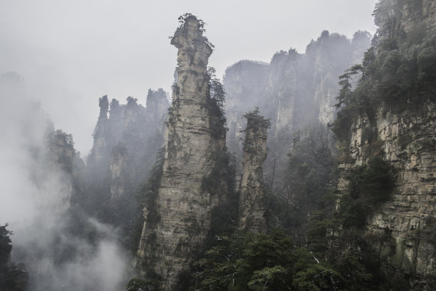 天子山 袁家界 杨家界图片