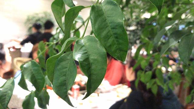 芈重山老火锅(洪崖洞店)