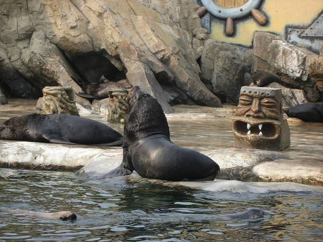 老虎滩海洋公园-海兽馆