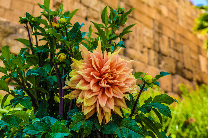 这里也是 中东 地区最重要的古迹遗址,太壮观了