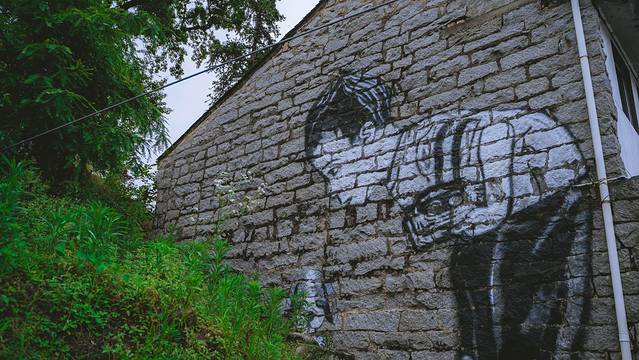 中国安基山航空飞行营地