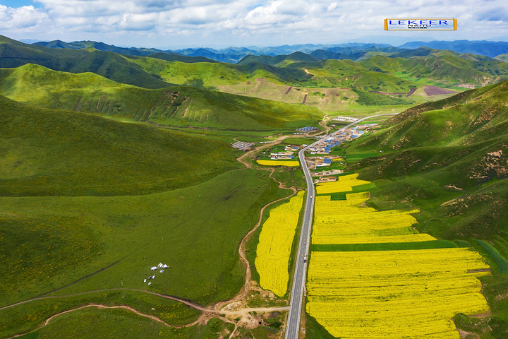 "完全被高山草甸油菜花海包围，尤其路边的上浪坎村，美得可以让人语无伦次，不成为特色旅游风景线简直……木_美仁大草原"的评论图片