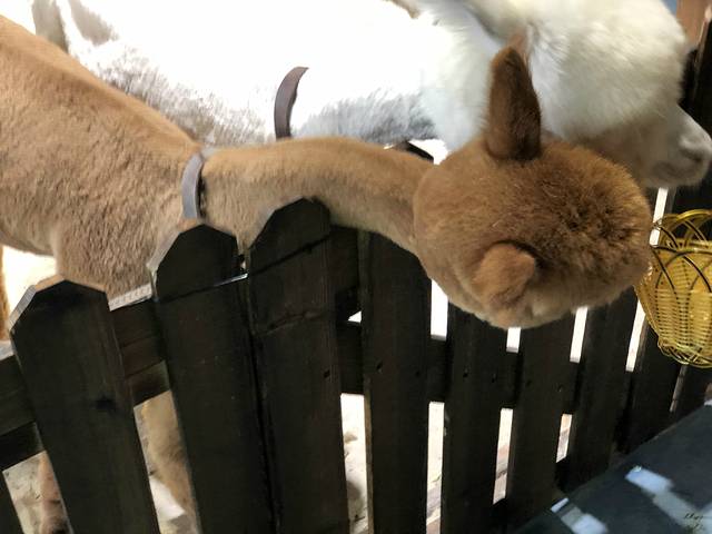 萌乐游亲子互动馆