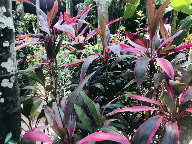 槟榔河文化旅游区