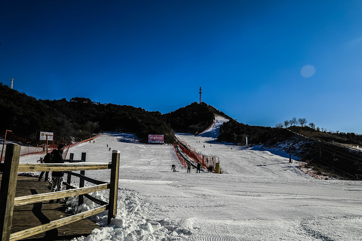 "云佛山滑雪场。滑楼梯，这里大人小孩都喜欢玩。滑雪的人也不少_云佛滑雪场"的评论图片