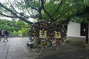 同里旅游景点攻略图片