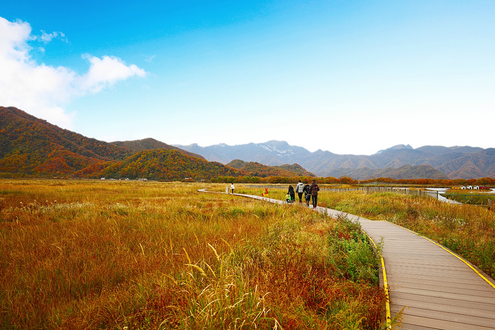 "游玩大九湖建议住宿在坪阡古镇，离游客中心很近，自驾车辆停在游客中心外面的停车场即可，预约免费门..._大九湖国家湿地公园"的评论图片