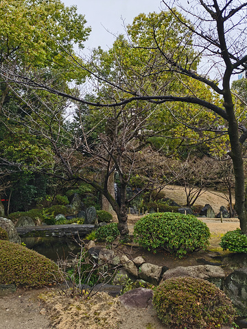 21大阪观光正式开始 第一站四天王寺花园300 博物馆0 景点的亮点是本坊庭园 有一个池塘叫做龟池 四天王寺 评论 去哪儿攻略