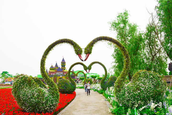 "绚丽的植物风车，拱形的花门，相拥而立的植物天鹅，五彩的风车长廊让这个公园的一切都变得浪漫而美丽_锦绣安仁奇境花园"的评论图片