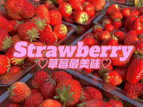 傅家边奶油草莓旅游景点图片