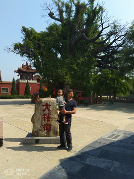洪洞大槐树寻根祭祖园旅游景点攻略图
