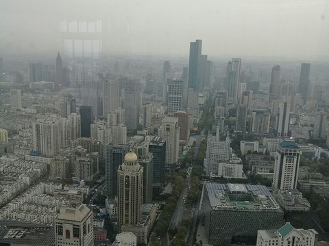 紫峰大厦观光层旅游景点图片