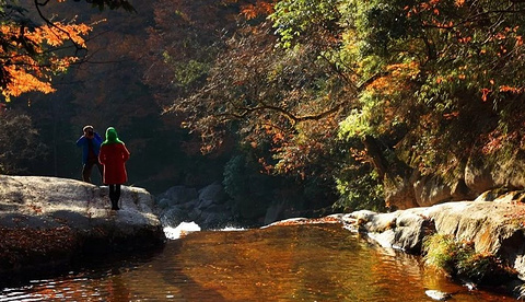 光雾山旅游景区旅游景点攻略图