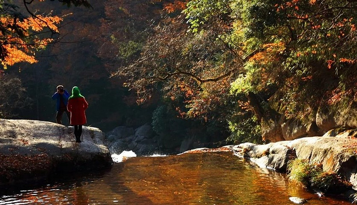 "...精品，有一首山歌是这样形容的：“人间仙境光雾山，山在云雾飘渺间，光照雾隐碧峰露，雾涌群山云中埋_光雾山旅游景区"的评论图片