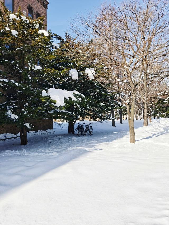 北海道大学综合博物馆