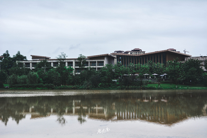 "特别是这次入住的泸县天展温泉度假酒店，不仅有着纯天然的温泉，而且居然就紧挨着泸县宋代石刻博物馆..._泸县天展温泉度假酒店"的评论图片