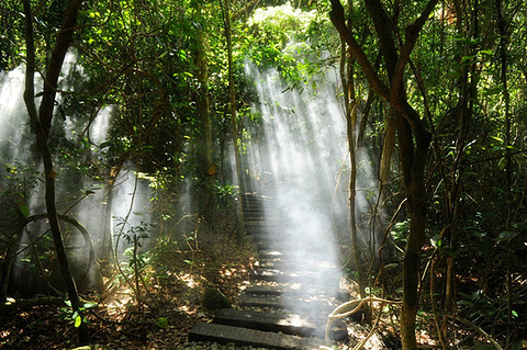 亚龙湾热带天堂森林公园旅游景点攻略图