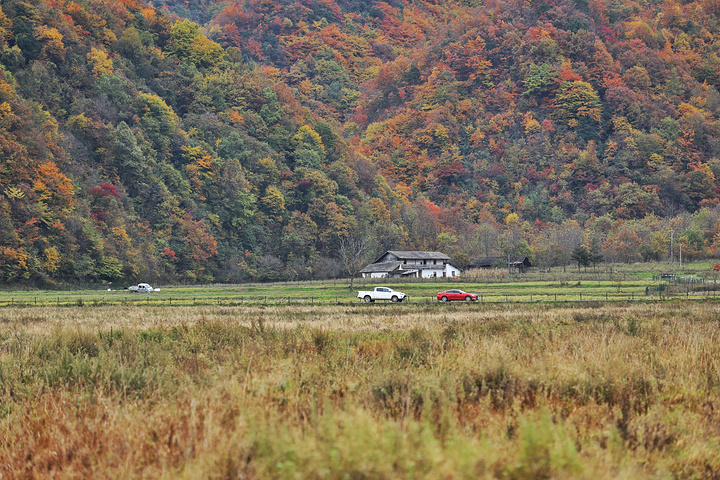 "游玩大九湖建议住宿在坪阡古镇，离游客中心很近，自驾车辆停在游客中心外面的停车场即可，预约免费门..._大九湖国家湿地公园"的评论图片