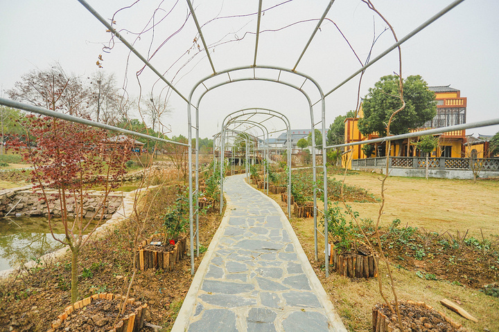 "...季节，但在武汉市黄陂区姚家集杜堂村的木兰花乡景区内，雄鹰却看到了不同寻常冬日所能看到的美丽景色_木兰花乡景区(木兰不夜城)"的评论图片