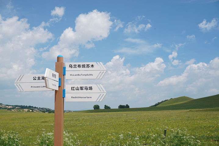 "乌兰布统-离北京最近最美的草原_乌兰布统旅游区"的评论图片