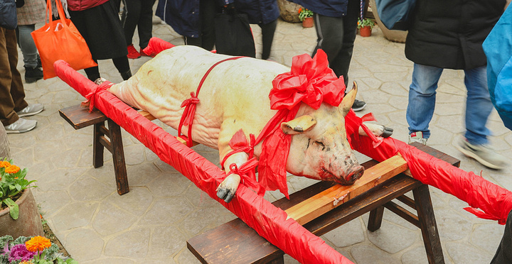 表演结束以后,杀猪宴正式开始_锦里沟"的评论图片