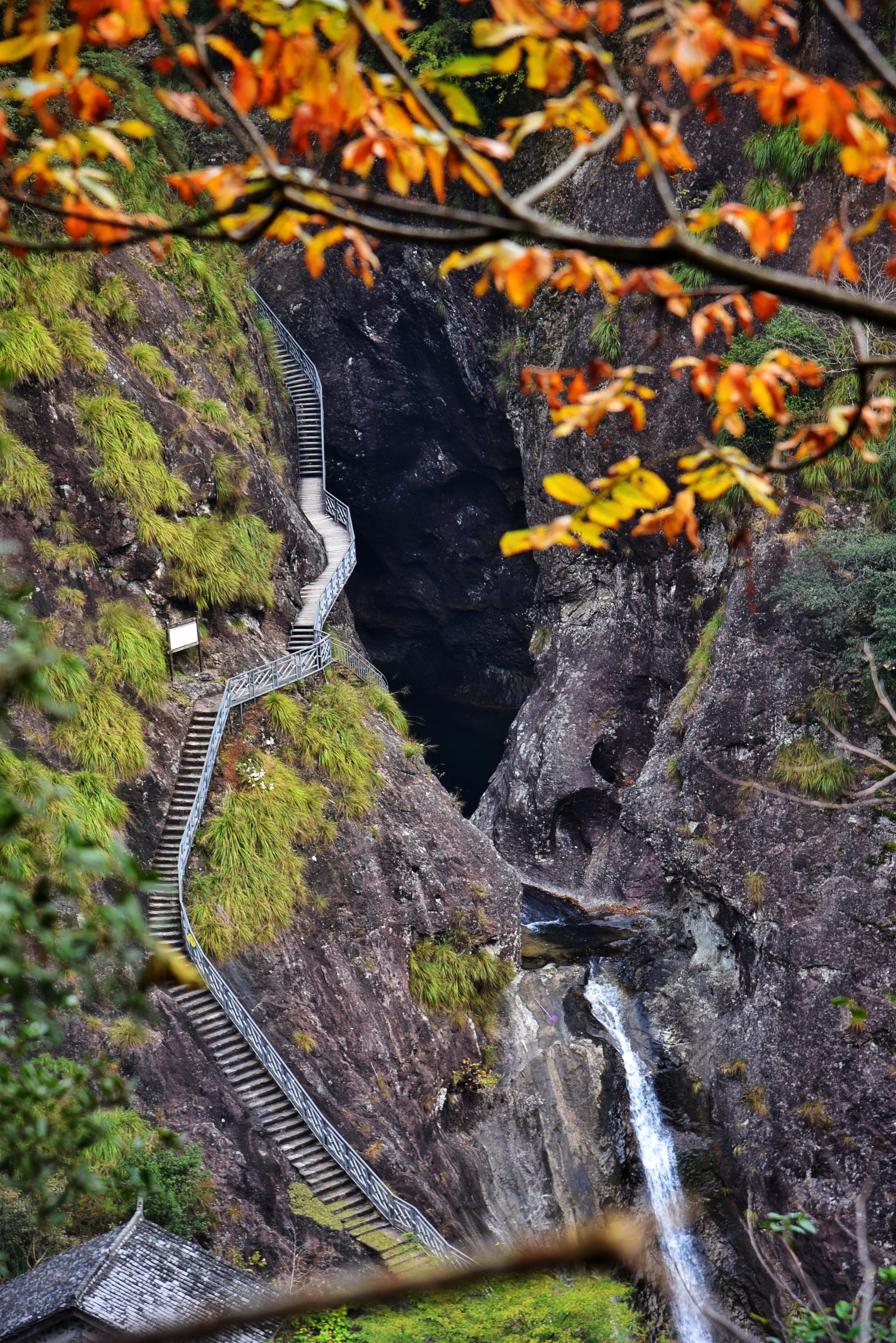 2021铜铃山森林公园游玩攻略,景区最为经典的景致从山谷谷...【去哪儿攻略】