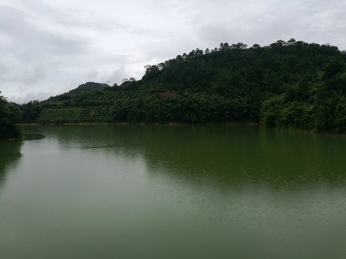 郁南云霄水库,雁鹰山天祥茶园图片