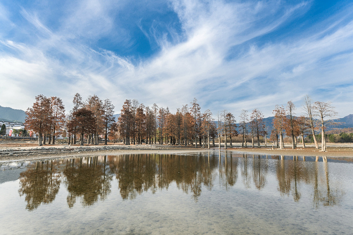 "奇墅湖-皖南山区极具代表的自然田园风光_奇墅湖"的评论图片