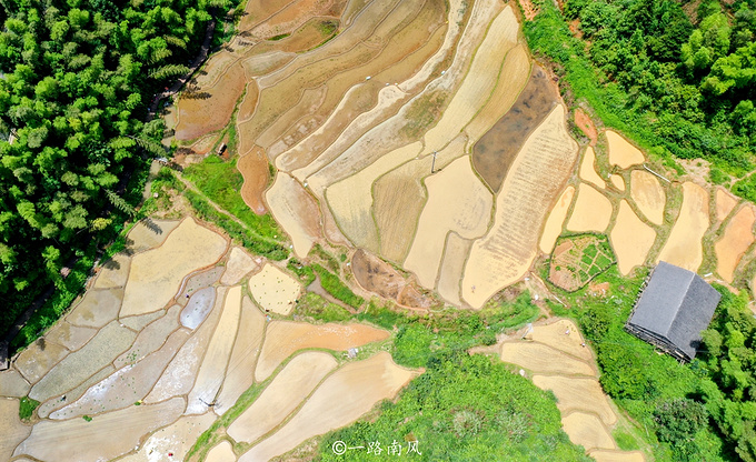 上堡梯田图片