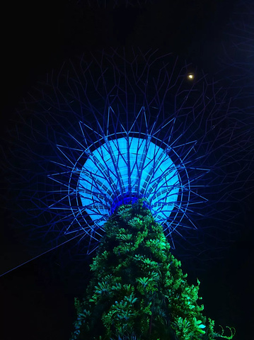 "毋庸置疑的是，新加坡最美丽的一扇绿色橱窗当数滨海湾公园。公园占地面积超过100公顷_滨海艺术中心"的评论图片