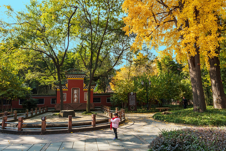 並無直接關係,但望江樓公園翠綠繚繞的修竹曲徑,亭臺樓榭的自然風光