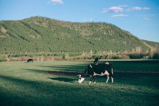 恩和俄罗斯族民族乡