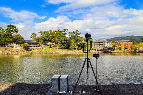 猿泽池旅游景点攻略图