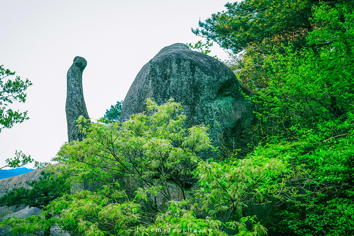 "...，这些远看似古堡魏立的天柱山岩石，在西关群峰垂直节理中非常发育，形成了横看成岭侧成峰的美丽景致_天柱山"的评论图片